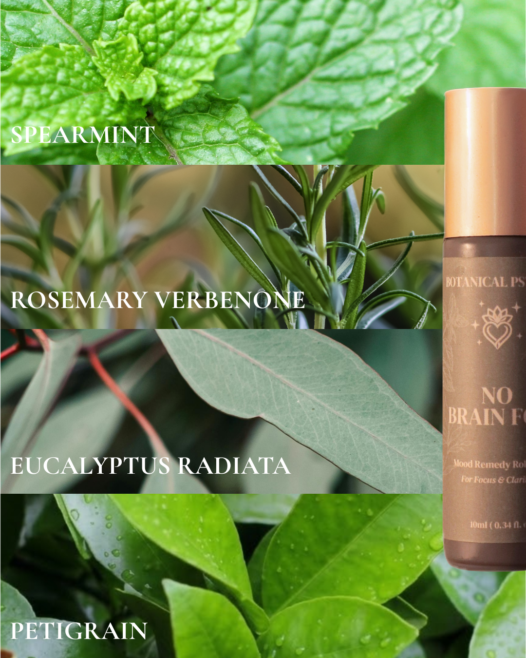 NO BRAIN FOG — Mood Remedy Roll-On